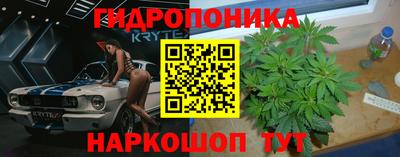 каннабис Берёзовский
