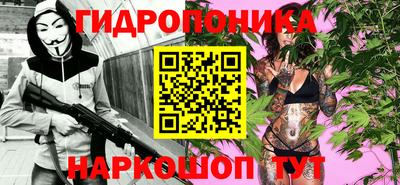 гидропоника Бийск