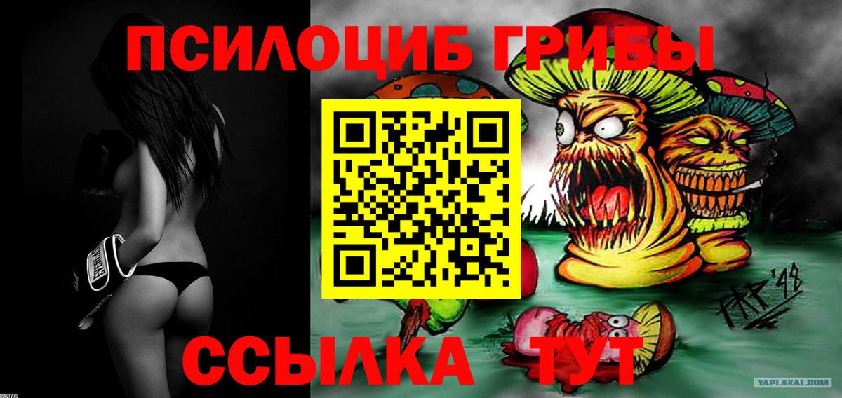 Галлюциногенные грибы Cubensis  Вход с VPN  Коломна  цены наркотик  Псилоцибиновые грибы MAGIC MUSHROOMS 